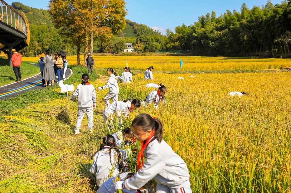 山东掀起研学游热潮，探索旅游业新动能